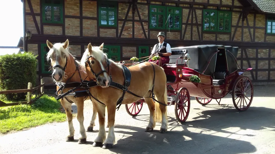Hochzeitskutsche mit Haflingern vor dem Gasthof